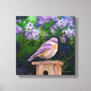 Oostelijke Bluebird in Snow - Originele Foto Canvas Afdruk