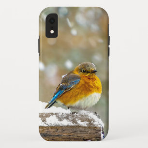 Oostelijke Bluebird in Snow - Originele Foto Case-Mate iPhone Case