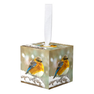Oostelijke Bluebird in Snow - Originele Foto Decoratie