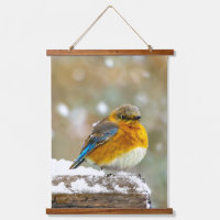 Oostelijke Bluebird in Snow - Originele Foto
