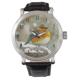 Oostelijke Bluebird in Snow - Originele Foto Horloge