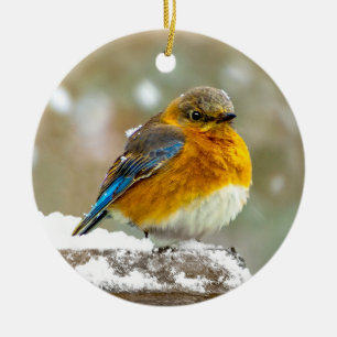Oostelijke Bluebird in Snow - Originele Foto Keramisch Ornament