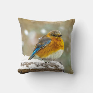 Oostelijke Bluebird in Snow - Originele Foto Kussen
