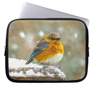 Oostelijke Bluebird in Snow - Originele Foto Laptop Sleeve
