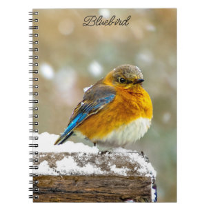 Oostelijke Bluebird in Snow - Originele Foto Notitieboek