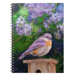 Oostelijke Bluebird in Snow - Originele Foto Notitieboek