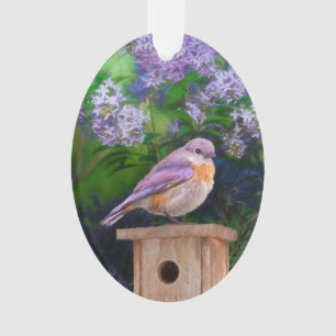 Oostelijke Bluebird in Snow - Originele Foto Ornament