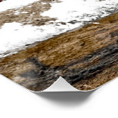 Oostelijke Bluebird in Snow - Originele Foto Perfect Poster (Hoek)