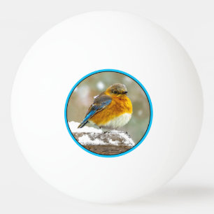 Oostelijke Bluebird in Snow - Originele Foto Pingpongbal