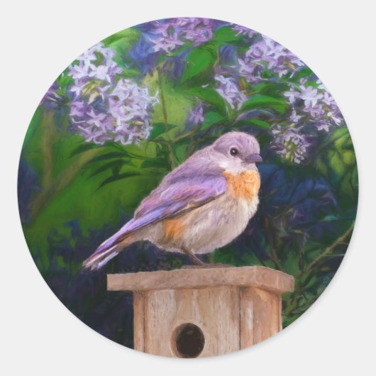 Oostelijke Bluebird in Snow - Originele Foto Ronde Sticker (Voorkant)