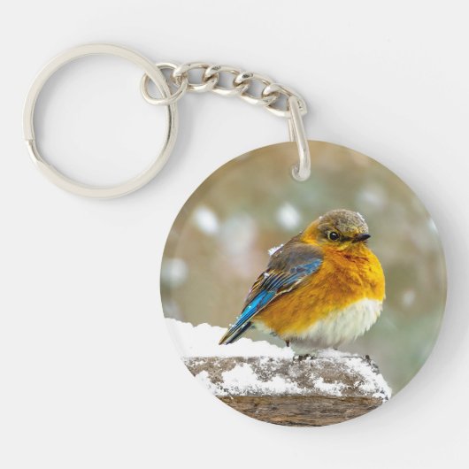 Oostelijke Bluebird in Snow - Originele Foto Sleutelhanger (Voorkant)