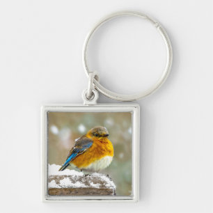 Oostelijke Bluebird in Snow - Originele Foto Sleutelhanger