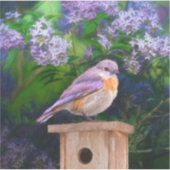 Oostelijke Bluebird in Snow - Originele Foto Sticker (Voorkant)