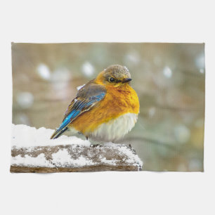 Oostelijke Bluebird in Snow - Originele Foto Theedoek