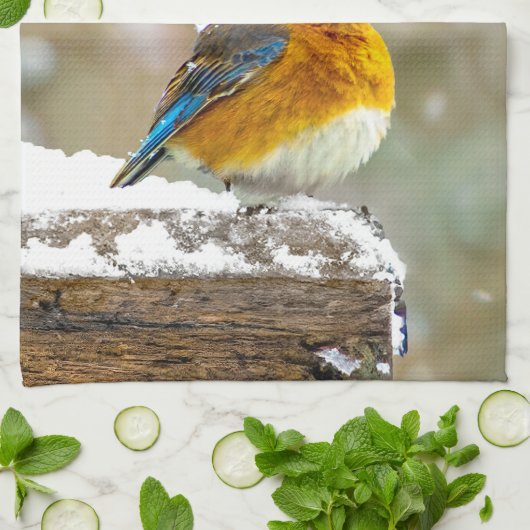 Oostelijke Bluebird in Snow - Originele Foto Theedoek (Gevouwen)