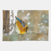 Oostelijke Bluebird in Snow - Originele Foto Theedoek (Horizontaal)