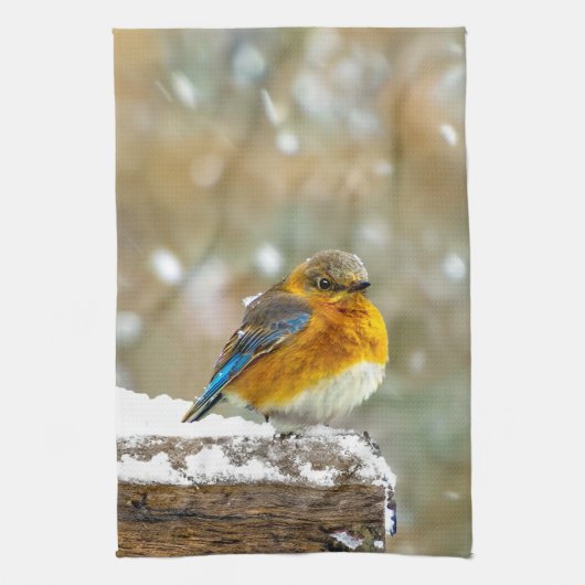 Oostelijke Bluebird in Snow - Originele Foto Theedoek (Verticaal)