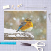 Oostelijke Bluebird in Snow - Originele Foto Tissuepapier (Craft)