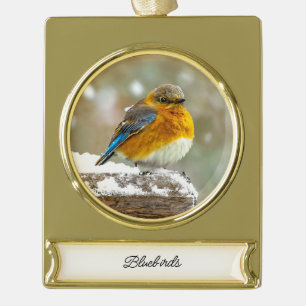 Oostelijke Bluebird in Snow - Originele Foto Verguld Banner Ornament
