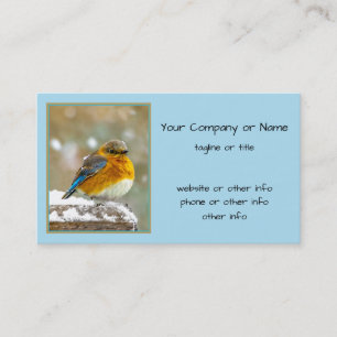 Oostelijke Bluebird in Snow - Originele Foto Visitekaartje