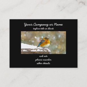 Oostelijke Bluebird in Snow - Originele Foto Visitekaartje