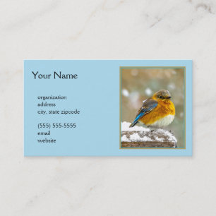 Oostelijke Bluebird in Snow - Originele Foto Visitekaartje