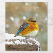 Oostelijke Bluebird in Snow - Originele Foto Wijn Etiket (Enkel label)