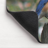 Oostelijke Bluebird Male Mousepad Muismat (Hoek)