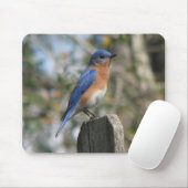 Oostelijke Bluebird Male Mousepad Muismat (Met muis)