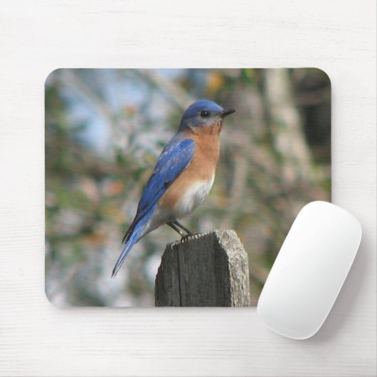 Oostelijke Bluebird Male Mousepad Muismat (Met muis)