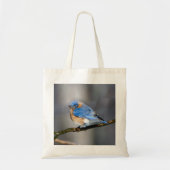 Oostelijke Bluebird op Limb Budget Canvas tas (Voorkant)