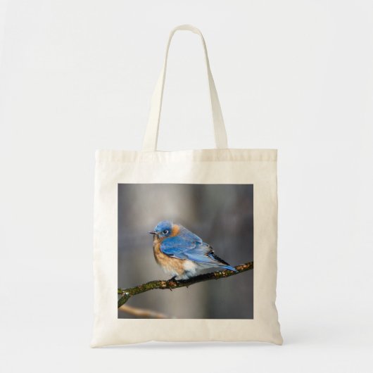 Oostelijke Bluebird op Limb Budget Canvas tas (Voorkant)