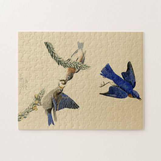 Oostelijke Bluebird van Audubon's Birds of America Legpuzzel (Horizontaal)
