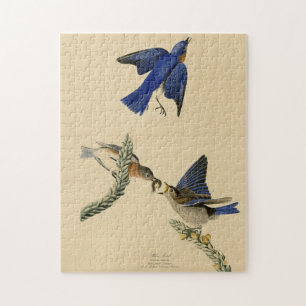 Oostelijke Bluebird van Audubon's Birds of America Legpuzzel
