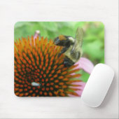 oostelijke Carpenter Bee & Coneflower-reeks Muismat (Met muis)