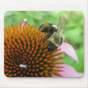 oostelijke Carpenter Bee & Coneflower-reeks Muismat