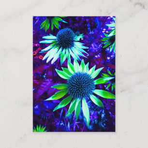 Oostelijke Conflower Echinacea Flowering Informatiekaartje