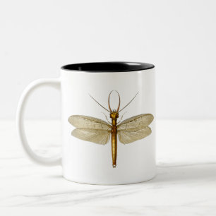 oostelijke dobsonfly-dragonfly-illustratie tweekleurige koffiemok