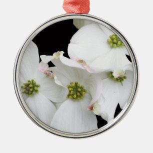 Oostelijke Dogwood Blossom - Cornus florida Metalen Ornament