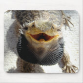 Oostelijke draak - Pogona barbata Muismat (Voorkant)