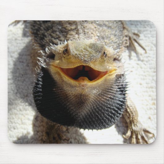 Oostelijke draak - Pogona barbata Muismat (Voorkant)