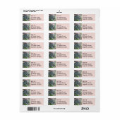 Oostelijke gladde slang bij Cape Cod Etiket (Full Sheet)