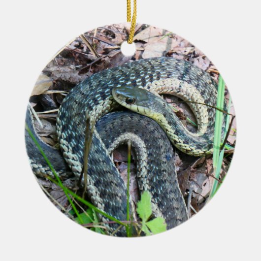 Oostelijke gladde slang bij Cape Cod Keramisch Ornament (Voorkant)