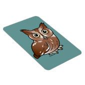 Oostelijke griezeluil (rode fase) magneet (Rechterzijde)