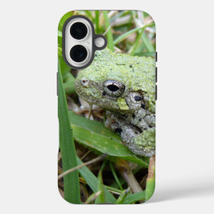 Oostelijke grijze boomkikker Natuurfotografie iPhone 16 Hoesje