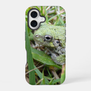 Oostelijke grijze boomkikker Natuurfotografie iPhone 16 Hoesje