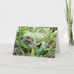 Oostelijke grijze boomkikker Natuurfotografie Kaart