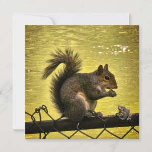 Oostelijke grijze eekhoorn (Sciurus carolinensis) Bedankkaart