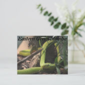 Oostelijke Groene Mamba Briefkaart (Staand voorkant)