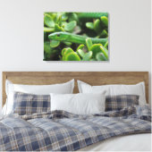 Oostelijke groene mamba (Dendroaspis angusticeps) Canvas Afdruk (Insitu (Slaapkamer))